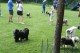 Thumbs/tn_Img_8788.jpg