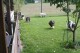 Thumbs/tn_Img_8789.jpg