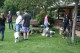 Thumbs/tn_Img_8792.jpg