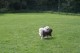 Thumbs/tn_Img_8793.jpg