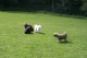 Thumbs/tn_Img_8795.jpg