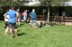 Thumbs/tn_Img_8797.jpg