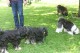 Thumbs/tn_Img_8798.jpg