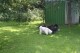 Thumbs/tn_Img_8799.jpg
