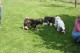 Thumbs/tn_Img_8800.jpg