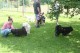 Thumbs/tn_Img_8801.jpg