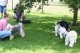 Thumbs/tn_Img_8803.jpg