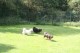 Thumbs/tn_Img_8804.jpg