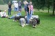 Thumbs/tn_Img_8809.jpg