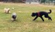 Thumbs/tn_1696ea1d-7e3a-486b-8a9d-aa18247658be.jpg