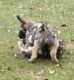 Thumbs/tn_20220910_133202.jpg