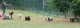 Thumbs/tn_20220910_141901.jpg