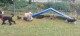 Thumbs/tn_20220910_142804.jpg