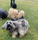 Thumbs/tn_3ca9cbbc-a4e4-4d3f-a07b-b8c4a29a0197.jpg