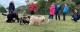 Thumbs/tn_96819492-af1e-4bd6-8bee-20e114e0bd33.jpg