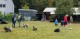Thumbs/tn_a13250ed-4f92-4c4f-80c8-aea6422ccb7c.jpg