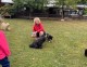 Thumbs/tn_d7610584-85c8-4fa7-ad58-af3779ead2e7.jpg