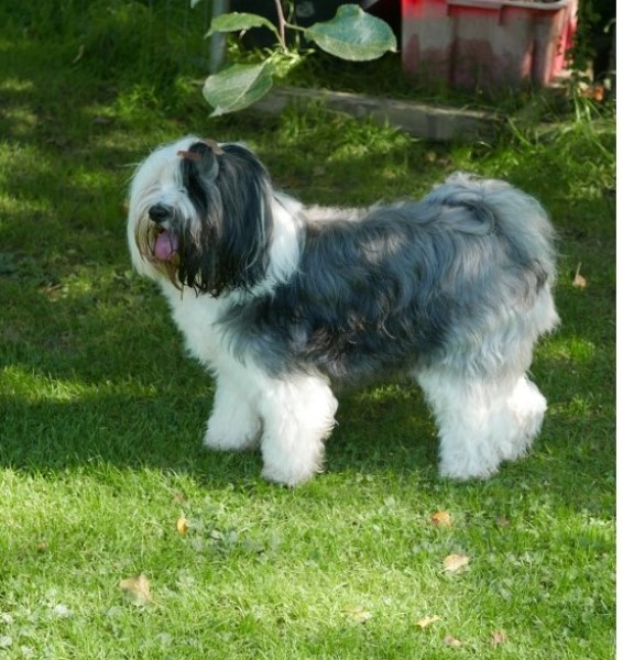 ../Images/866BD6374D9D40698F58FFFAEBA2D47D.jpg