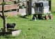 Thumbs/tn_0dc2e638-143c-4a14-b08d-c29597bde3dd.jpg