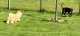 Thumbs/tn_3c5147fe-e76c-486e-b921-42e83fe74685.jpg