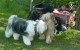Thumbs/tn_6D5C7FFA1851435FA1DCE9BC3736DF35.jpg