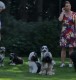 Thumbs/tn_7918a511-6b39-4d33-b22d-bbc258feee7c.jpg
