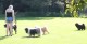 Thumbs/tn_Img_0850.jpg