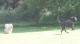 Thumbs/tn_Img_0858.jpg