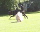 Thumbs/tn_Img_0872.jpg