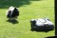 Thumbs/tn_Img_0898.jpg