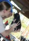 Thumbs/tn_Img_0899.jpg