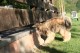 Thumbs/tn_Img_0904.jpg