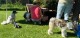 Thumbs/tn_ba36672b-7663-4d9a-9f4e-498508bbc87e.jpg
