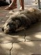 Thumbs/tn_aa02c4f6-f494-45a1-ac39-22d2c1e22ec1.jpg