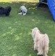 Thumbs/tn_IMG_7440.jpg
