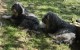 Thumbs/tn_IMG_7447.jpg