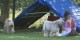 Thumbs/tn_IMG_7450.jpg