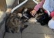 Thumbs/tn_IMG_7459.jpg