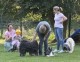 Thumbs/tn_IMG_7460.jpg