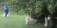 Thumbs/tn_Img_2541.jpg