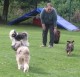 Thumbs/tn_Img_2542.jpg