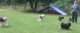 Thumbs/tn_Img_2543.jpg