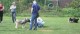 Thumbs/tn_Img_2544.jpg