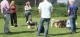 Thumbs/tn_Img_2546.jpg
