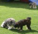 Thumbs/tn_Img_2548.jpg