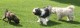 Thumbs/tn_Img_2553.jpg