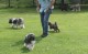 Thumbs/tn_Img_2554.jpg
