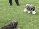 Thumbs/tn_Img_2555.jpg
