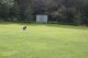 Thumbs/tn_Img_2556.jpg