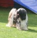 Thumbs/tn_Img_2558.jpg